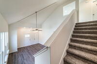 Home Image 19