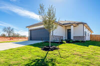 Home Image 2