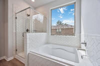 Home Image 26