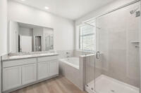 Home Image 19