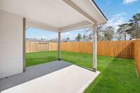 Home Image 24
