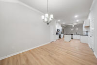 Home Image 19