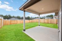 Home Image 24