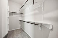 Home Image 17