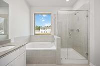 Home Image 15