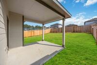 Home Image 23