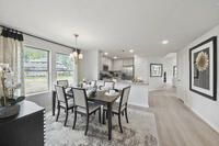 Home Image 11
