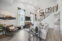 Home Image 7