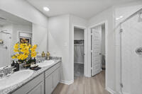 Home Image 18