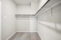 Home Image 11