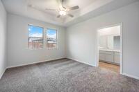 Home Image 17
