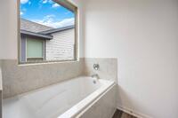 Home Image 21