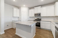 Home Image 2