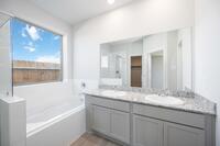Home Image 17