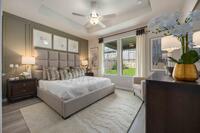 Home Image 14