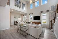 Home Image 7