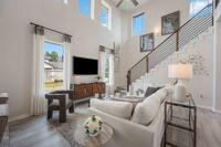 Home Image 6