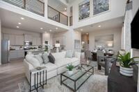 Home Image 8