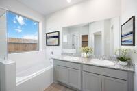 Home Image 5