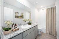 Home Image 7