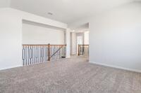 Home Image 19