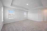 Home Image 12