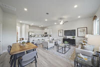 Home Image 8